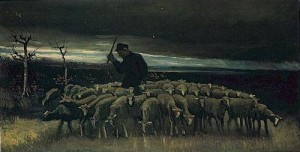 shepherd